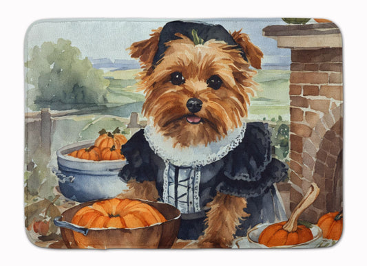🐾 Every Mat Tells a Story: Honoring the Everyday Moments with Your Pet